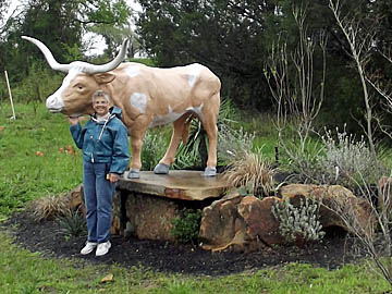 longhorn