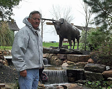buffalo