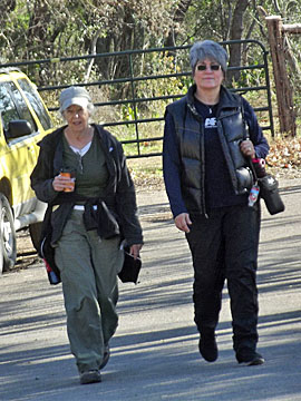 walking